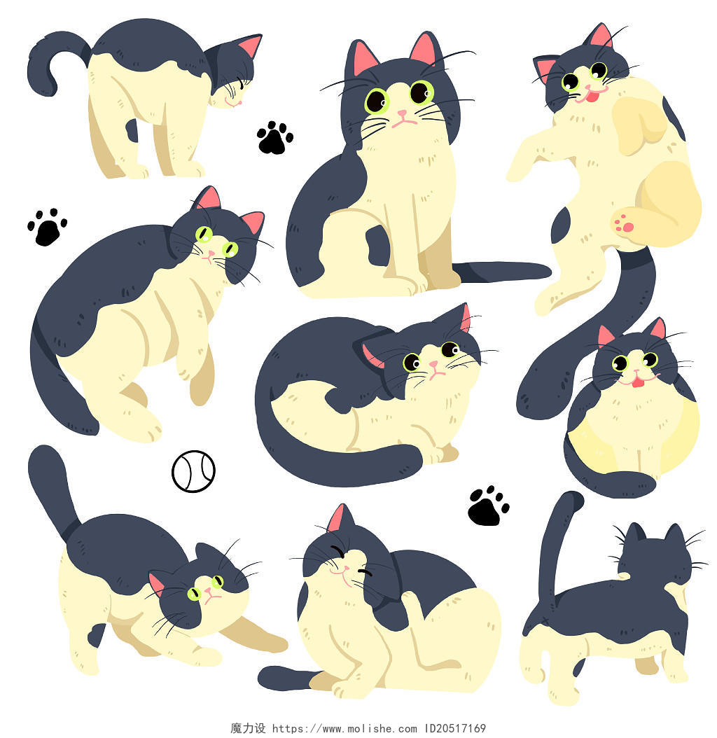 小猫图谱各种小猫可爱小动物宠物卡通PNG素材